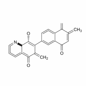 Structural diagram of 2-Hydroxypropyl Methacrylate (HPMA)