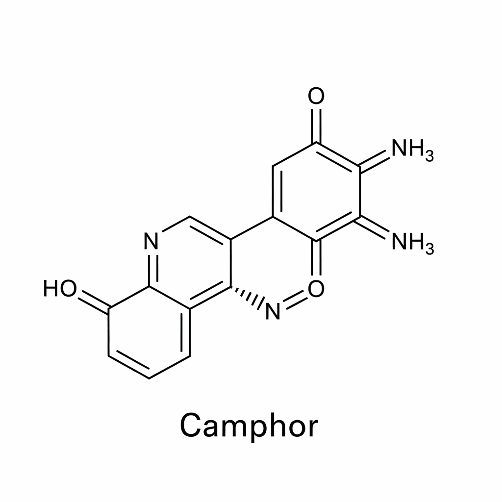 Camphor (Ketonic Terpene) chemical formula