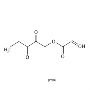 Propylene Glycol N-Butyl Ether (PNB)